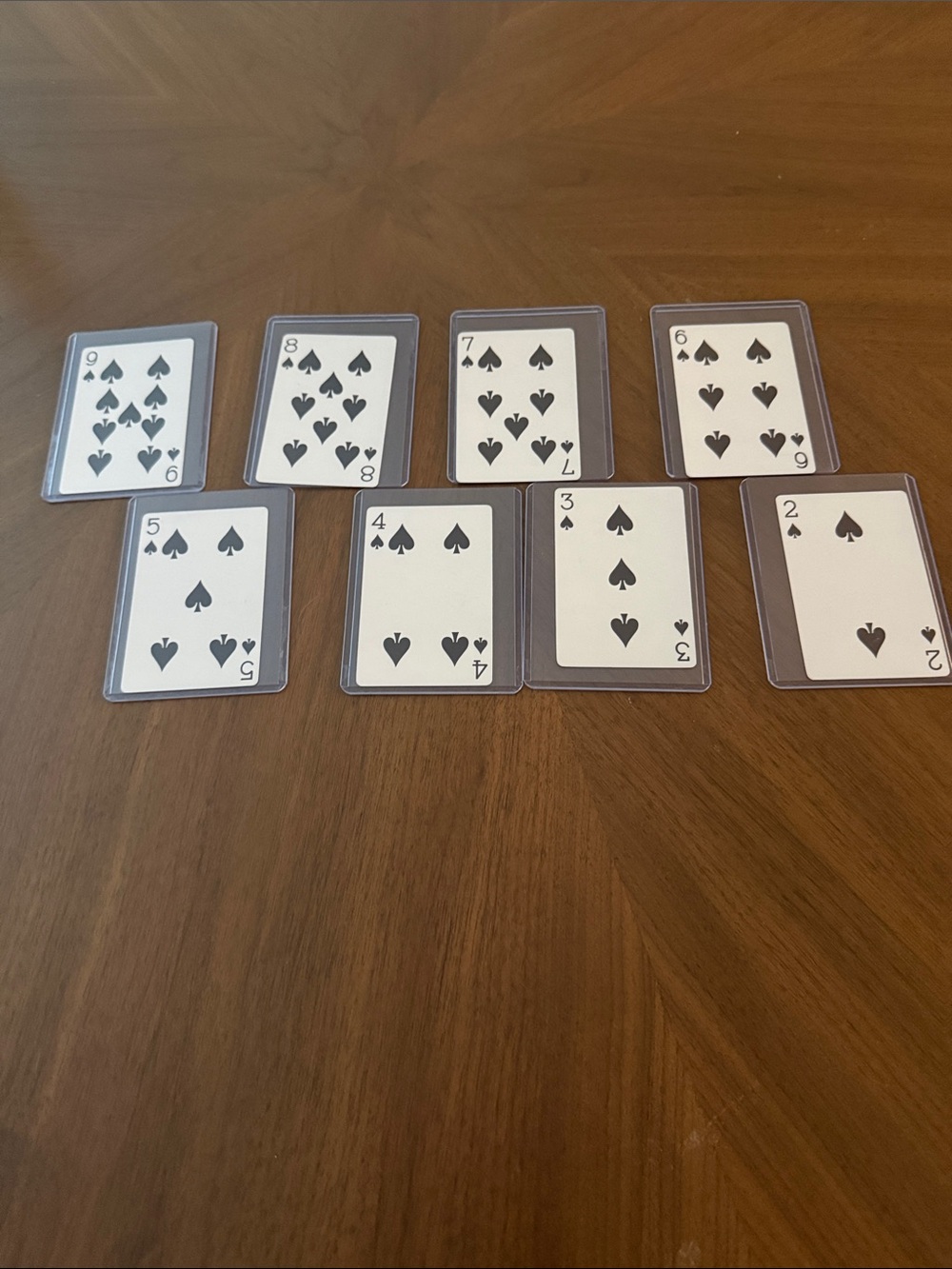 Tiffany and Co Black Spade Playing Cards - Neutral Back